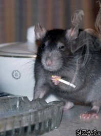 Упоротые картинки