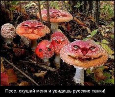 Неоспоримые доказательства присутствия российских войск на Украине