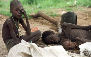 10 самых редких продуктов