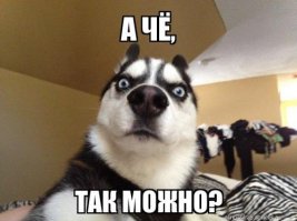 Как обращаться к сотруднику ГИБДД