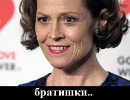 Фотоподборка за 21.01.2015