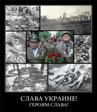 Что оставили после себя фашисты в Дебальцево?