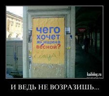 Смешные надписи и объявления 