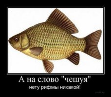 Как в Китае рыбу спасали