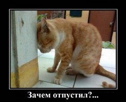 Вот это улов!