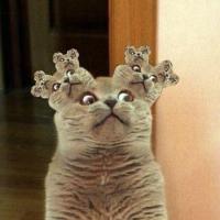 Pixel gif от Пола Робертсона