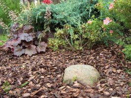 Мульча (сосновая кора). Ничего сквозь нее не прорастет. И выглядит эстетично.