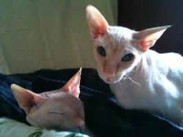 Моё богатство! Отец(спит)и его дочка!