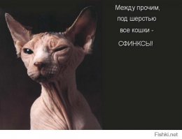 Это мои!