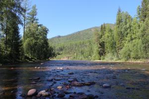 Не сильно далеко от реки Казыр на реке Ус. Снимал 19.07.2014г.