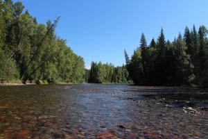 Не сильно далеко от реки Казыр на реке Ус. Снимал 19.07.2014г.