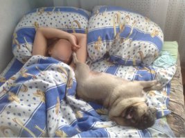 Спят усталые зверушки 