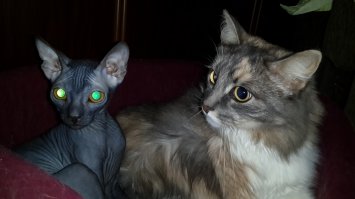 А вот мои три)))