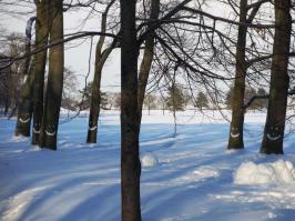 Снежное творчество