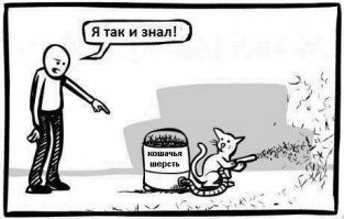 Кошачий пост