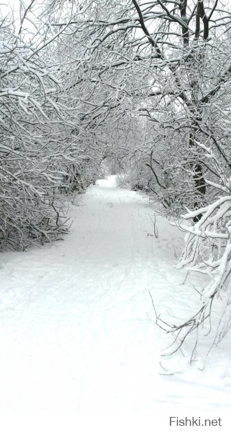 А у нас сегодня вот так. А как у вас?