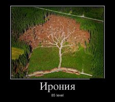 27 потрясающих кадров без фотошопа