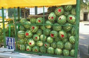 Вот так в Москве бездомные кушают арбузы по ночам.