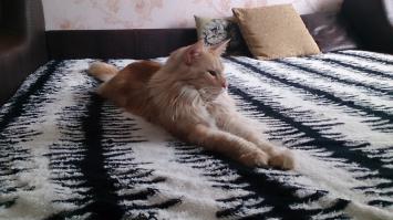 Мой красавчик