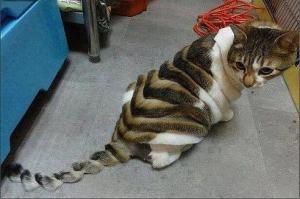 Фишкина солянка за 08.11.2014