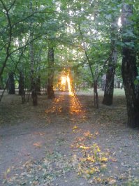 Дорога к солнцу.