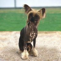 И в чем отличие...???