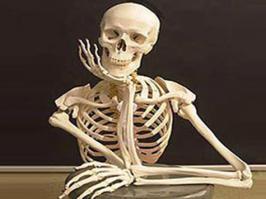 Так купи себе скилет...и дрюч его дебил....