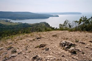 Это видел??? Отсюда смотрел???