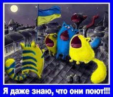 Солянка для Майдана. Часть 52