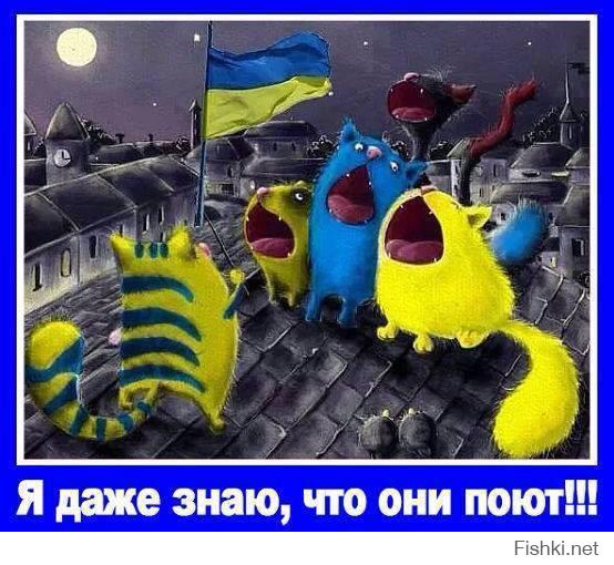 Солянка для Майдана. Часть 52