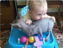 Ты не ты, когда голоден...