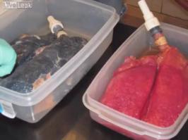 кто-то точно почувствовал раздражительность ...по дизлайкам определим количество страдающих никотиновой зависимостью