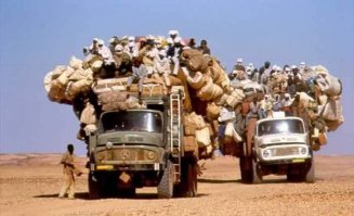 Номинанты на премию Дарвина 