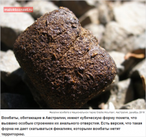 надаже какой виртуоз!