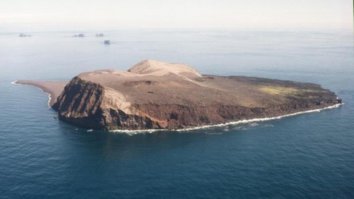но молодые голландские ученые нарушили запрет и на острове были найдены укоренившиеся растения конопли