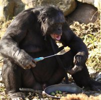 50 примеров того, что некоторым людям нельзя готовить 