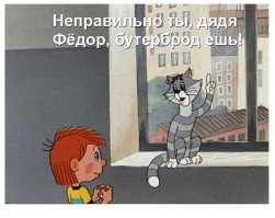 12 продуктов, которые мы все это время ели неправильно