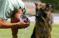 Фотографии, которые говорят больше чем слова