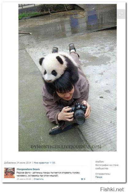 Кунг Фу панда в детстве!