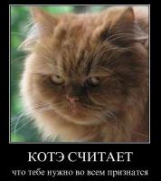 Фишкина солянка за 16.08.2014 