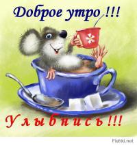 Фишкина солянка за 23.11.2014