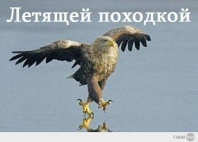 Паркурщик из Екатеринбурга прыгает по выступам небоскреба в Дубае
