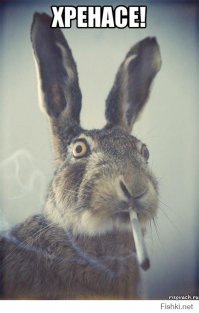 Как снять кольцо при помощи веревки