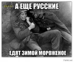 Гитлер завоевал Европу быстрее, чем пару кварталов в Сталинграде