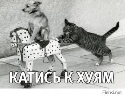 Гостюхин Владимир Васильевич. С днём рождения!