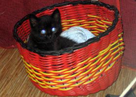 Они следят за нами.