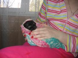 Не отмылся до бела