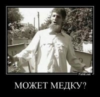 Интересные факты о пчелах-убийцах