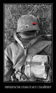 «Стёклышки»