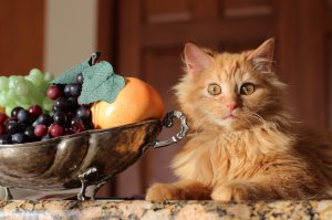 Абсолютно согласна с последним пунктом )
Вот мое счастье